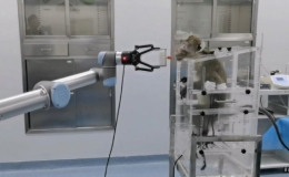 Hệ thống cho ph&eacute;p điều khiển c&aacute;nh tay robot bằng n&atilde;o