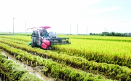 Hiện thực h&oacute;a giấc mơ đại điền