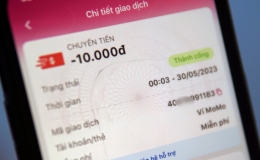 M&atilde; giao dịch bị lợi dụng để đ&aacute;nh bạc online
