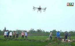 Nam Hải ứng dụng c&ocirc;ng nghệ m&aacute;y bay ph&ograve;ng trừ s&acirc;u bệnh bảo vệ l&uacute;a xu&acirc;n