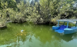 S&aacute;ng tạo m&ocirc; h&igrave;nh m&aacute;y vớt r&aacute;c hai th&acirc;n t&iacute;ch hợp năng lượng mặt trời