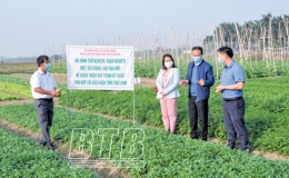 Th&aacute;i B&igrave;nh: Ph&aacute;t triển hoạt động khoa học v&agrave; c&ocirc;ng nghệ