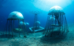 Trang trại dưới biển đầu ti&ecirc;n tr&ecirc;n thế giới