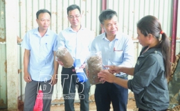 Ứng dụng hệ thống tưới nước th&ocirc;ng minh v&agrave;o trồng nấm