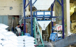 V&igrave; sao doanh nghiệp chưa tận dụng  được cơ hội để đẩy mạnh xuất khẩu gạo