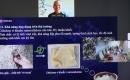 30 đội tranh t&agrave;i tại chung kết S&aacute;ng kiến Khoa học 2024