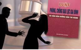 Ban h&agrave;nh Kế hoạch triển khai thi h&agrave;nh Luật Ph&ograve;ng, chống bạo lực gia đ&igrave;nh