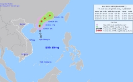 C&ocirc;ng điện khẩn số 01/CĐ-PCTT, hồi 17 giờ 00' ng&agrave;y 31/5/2024 của  Ban Chỉ huy Ph&ograve;ng, chống thi&ecirc;n tai v&agrave; T&igrave;m kiếm cứu nạn tỉnh Th&aacute;i B&igrave;nh