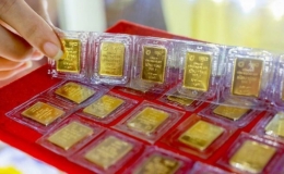 Đấu thầu th&agrave;nh c&ocirc;ng 8.100 lượng v&agrave;ng