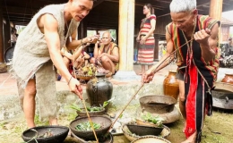 Kon Tum: Đặc sắc lễ hội trỉa l&uacute;a của người Br&acirc;u