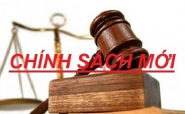  Một số ch&iacute;nh s&aacute;ch mới c&oacute; hiệu lực từ th&aacute;ng 5/2024