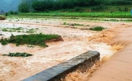 Mưa lớn k&egrave;m gi&oacute; lốc g&acirc;y nhiều thiệt hại tại Lạng Sơn