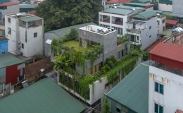 Ng&ocirc;i nh&agrave; hơn 200m2 được bao bọc bởi rừng c&acirc;y