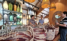 Th&aacute;i B&igrave;nh: Xuất si&ecirc;u gần 220 triệu USD