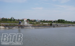 Th&aacute;i Thụy: T&iacute;ch cực ngăn chặn dịch bệnh đốm trắng tr&ecirc;n t&ocirc;m