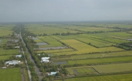 Tin dự b&aacute;o x&acirc;m nhập mặn tỉnh Th&aacute;i B&igrave;nh 