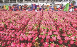 Xuất khẩu h&agrave;ng h&oacute;a sang c&aacute;c thị trường lớn tăng trưởng cao