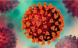 Ấn Độ ghi nhận nhiều ca mắc COVID-19 do hai biến thể mới