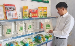 Đưa gạo Th&aacute;i B&igrave;nh vươn xa