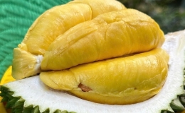 Gỡ n&uacute;t thắt cho xuất khẩu sầu ri&ecirc;ng sang Trung Quốc