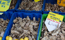 H&agrave;u sữa Quảng Ninh khẳng định vị thế tr&ecirc;n thị trường trong nước v&agrave; quốc tế