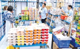 Hỗ trợ ph&aacute;p l&yacute; cho doanh nghiệp nhỏ v&agrave; vừa: Đ&ograve;n bẩy n&acirc;ng sức đề kh&aacute;ng thị trường