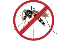 M&ugrave;a mưa đến, đừng qu&ecirc;n loại bỏ nơi muỗi vằn đẻ trứng