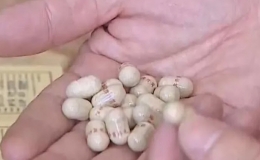 Tăng cường kỷ luật c&ocirc;ng vụ, siết chặt kiểm so&aacute;t h&agrave;ng giả trong lĩnh vực y tế