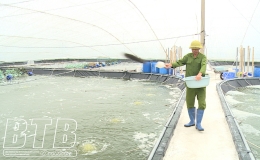 Th&aacute;i Thụy: Ho&agrave;n th&agrave;nh thả 800ha nu&ocirc;i t&ocirc;m vụ xu&acirc;n h&egrave;