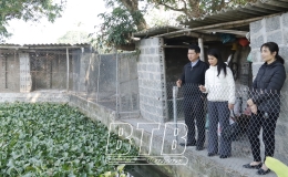 Tho&aacute;t ngh&egrave;o nhờ vốn vay ưu đ&atilde;i