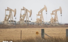 Th&ocirc;ng điệp buồn với kinh tế thế giới