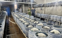 Triệt ph&aacute; hai cơ sở d&ugrave;ng h&oacute;a chất cấm sản xuất gần 350 tấn gi&aacute; đỗ ở L&agrave;o Cai