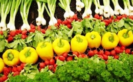 36 loại rau Việt Nam đ&atilde; v&agrave;o thị trường Hoa Kỳ 
