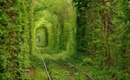 10 lối đi lạ l&ugrave;ng nhất thế giới