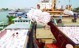 Xuất khẩu gạo tiếp tục tăng