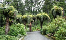 Vườn c&acirc;y lộn ngược độc đ&aacute;o tại Alaska