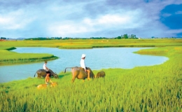 K&yacute; ức tuổi thơ