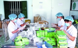 Quỳnh Phụ: Sức h&uacute;t đầu tư