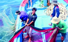 L&atilde;o ngư biết h&aacute;t