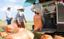 Kiến Xương: Niềm vui n&ocirc;ng d&acirc;n được m&ugrave;a