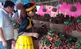 Vải thiều Lục Ngạn đ&atilde; xuất khẩu sang thị trường tr&ecirc;n 30 nước