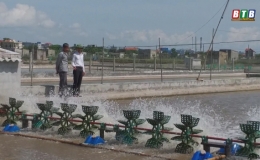 Nỗi lo m&ugrave;a nắng n&oacute;ng của người nu&ocirc;i trồng thủy sản