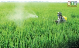 Bồi dưỡng chuy&ecirc;n m&ocirc;n về thuốc bảo vệ thực vật v&agrave; ph&acirc;n b&oacute;n