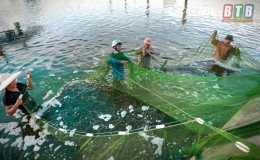 Hỗ trợ n&ocirc;ng d&acirc;n tho&aacute;t ngh&egrave;o, l&agrave;m gi&agrave;u