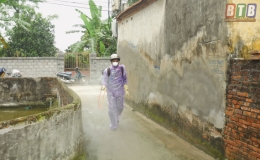 Hưng H&agrave;: Nhiều giải ph&aacute;p giải cứu đ&agrave;n lợn