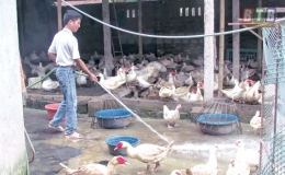 Ngũ Đ&ocirc;ng: Điểm s&aacute;ng l&agrave;m theo B&aacute;c