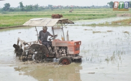 &ldquo;Ch&igrave;a kh&oacute;a v&agrave;ng&rdquo; cho n&ocirc;ng nghiệp Th&aacute;i B&igrave;nh