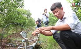 Hiệu quả c&ocirc;ng nghệ tưới nhỏ giọt cho c&acirc;y trồng ở v&ugrave;ng &ldquo;rốn nước&rdquo;