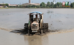 Bước v&agrave;o gieo cấy l&uacute;a m&ugrave;a tr&agrave; sớm