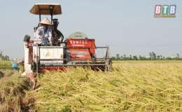 Nhiều mặt h&agrave;ng n&ocirc;ng sản kh&oacute; xuất khẩu